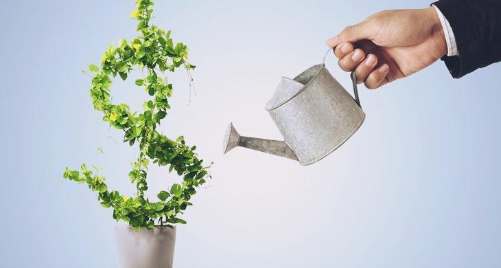 Yatırım Fonu Nedir ?